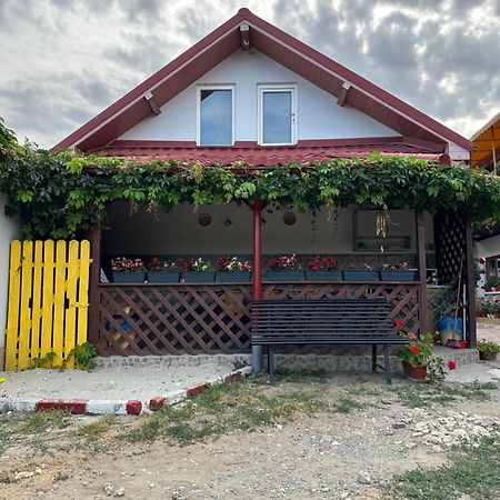 Casa Cu Flori Corbu Corbu (Constanta) Exterior foto